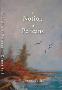 A Notion of Pelicans - Book Cover