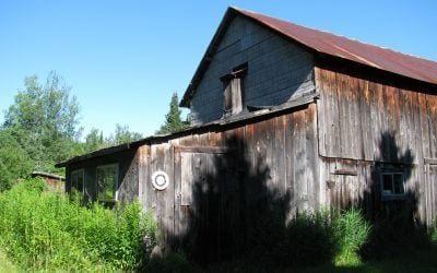 Wild-Haired Women: On Writing, Portals, and Pig Sties