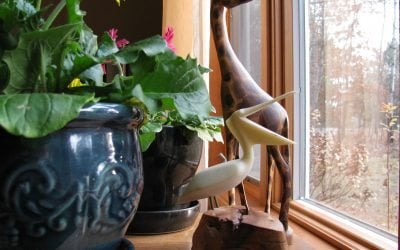 Ruining the Twists: Things Writers Worry About