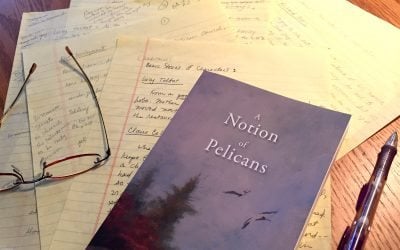 The Character Had Red Hair: On the Ruination of a Reader