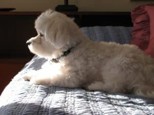 Contemplation