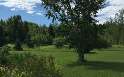 An Ordinary Day in July: What John Milton Taught Me about Writing