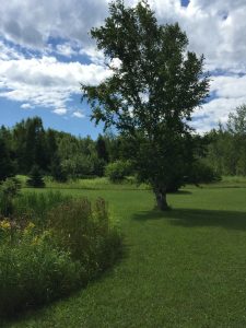 A July day at our family homestead, worlds away from Milton's Cambridge