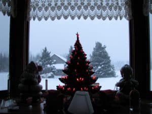 Light in the Dark Season - The Bay Window at Our Family Farm