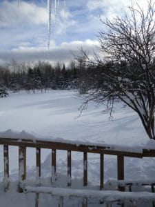 Retreat to the Woods-Tree Line