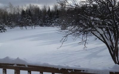A Retreat to the Woods: My Mother, and Other Hermits
